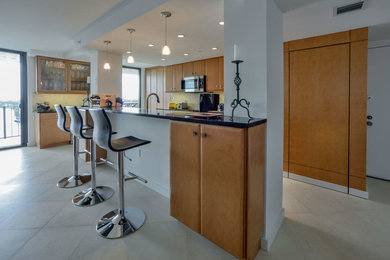 Kitchen - transitional kitchen idea in Miami