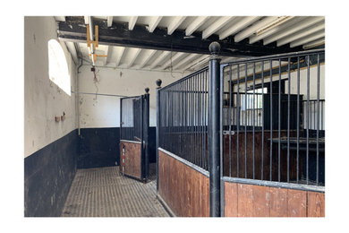 Stable Conversion