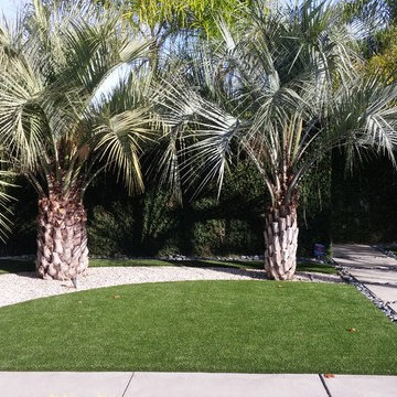 Recent Project