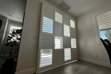 Purrfect Shutters