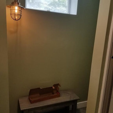 Basement Remodel with Bathroom Addition