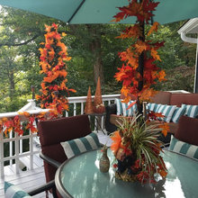 Back Deck