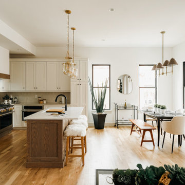 Mansard Roof Urban Home