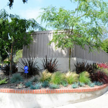 390 Linden Landscape