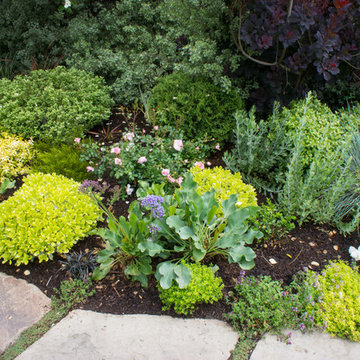 Gamble Garden Spring Tour 2014: Melville