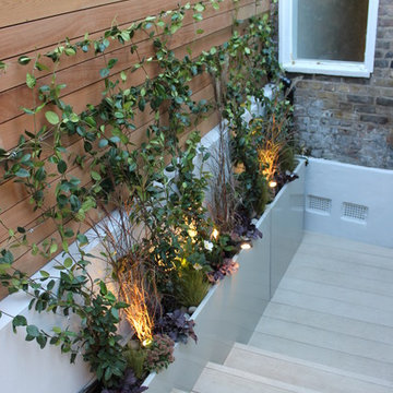 Kentish Town Small Chic Garden