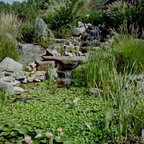 Vegetable Garden - Traditional - Landscape - Bridgeport - by Conte