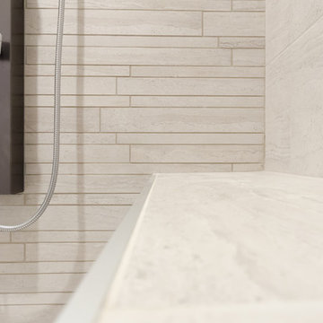 Contemporary Basement Bathroom