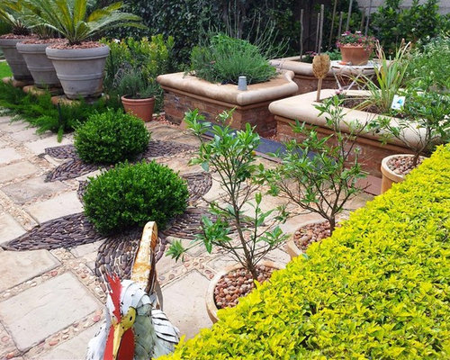 My own garden, Pretoria