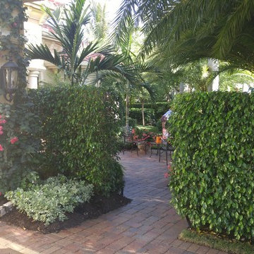 A peek into an intriguing garden space