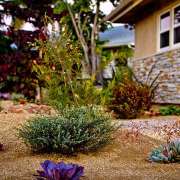 Add Color And Texture