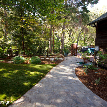 Lush Woodland Garden for Kids