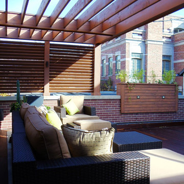 Chicago Roof Decks & Garden - Project Examples