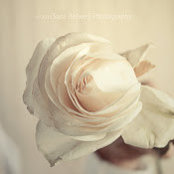 Sara Helwe's photo