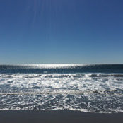 Lila Austin's photo