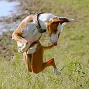 Erica Kasper's photo