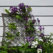 Marcia Weber's photo