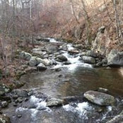 Kelly Cain's photo