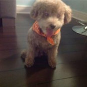 Sandra Chacon's photo