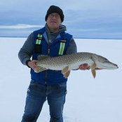Michael Shepherd's photo