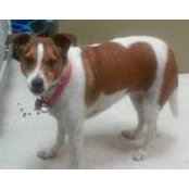 Allan Bergano's photo