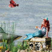 Tammy wang's photo