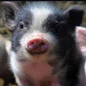 Deb Kroger's photo