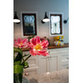 M House Designs's profile photo