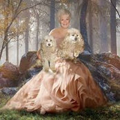 Foto von Meredith Andersen