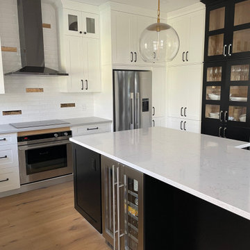 Barrhaven Main Level Reno