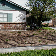 Front Yard Ideas