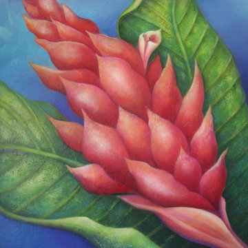 Murals by design