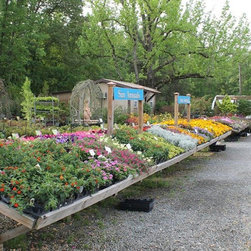 Gallery - Gardening And Lawn Care
