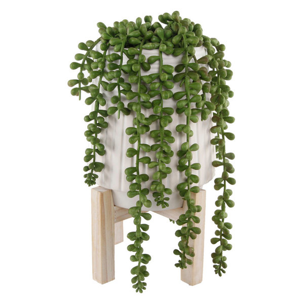 Faux Donkey Tail Succulent In Ceramic Pot With Wood Stand, 6