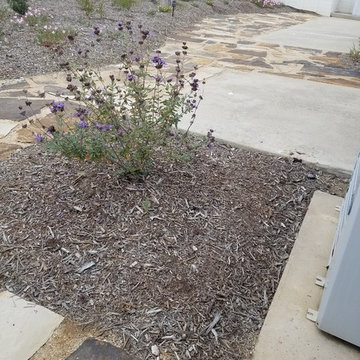 Mission Viejo Back Yard