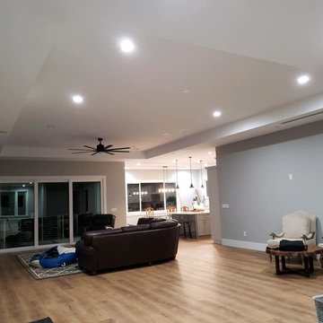 Coastal Contemporary Palmetto Point