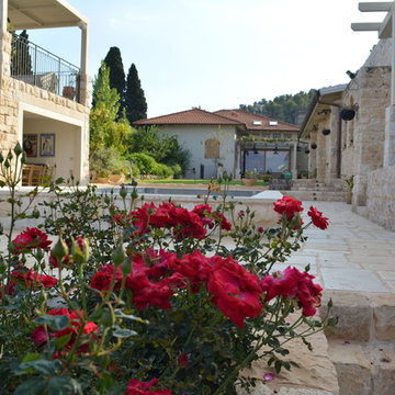 A garden with old olive trees