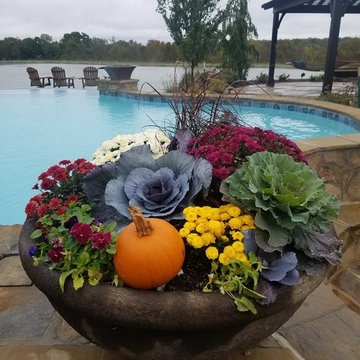 Fall Pots