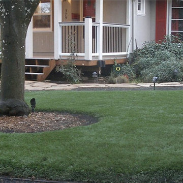 Synthetic Turf Lawns