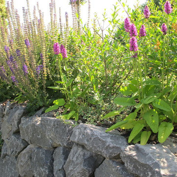 Gartenplanung, Terrasse und mehr