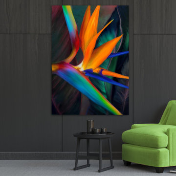 BIRD OF PARADISE