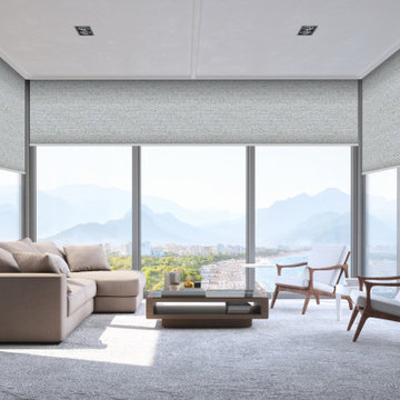 Shade by Jamie: Vertilux Roller Shades