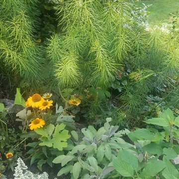 A Gardener's Gem in the Neighborhood