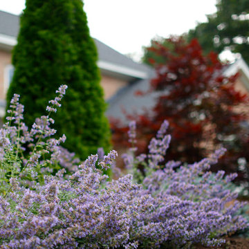 Windham, NH Landscape