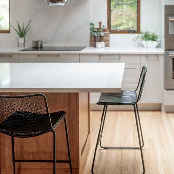 Acton Modern Kitchen