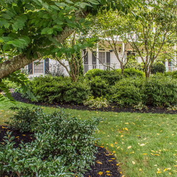 Yard Makeover & Stone/Hardscapes