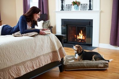 Driftwood Dog Bed Collection
