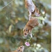 Hope Kasente's photo