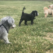 Photo de Lisa Ebert
