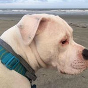 Cindy Hannus's photo